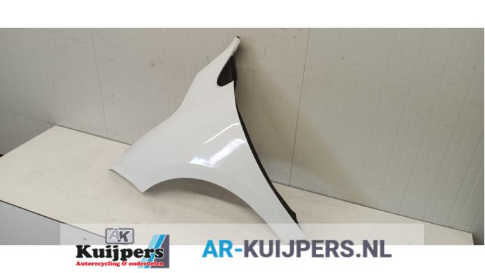 Scherm links-voor - Renault Megane