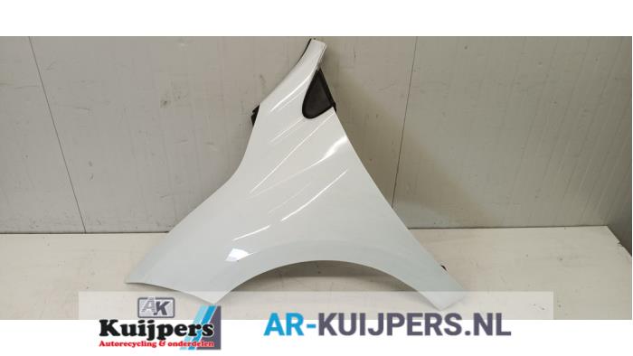 Scherm links-voor - Renault Megane