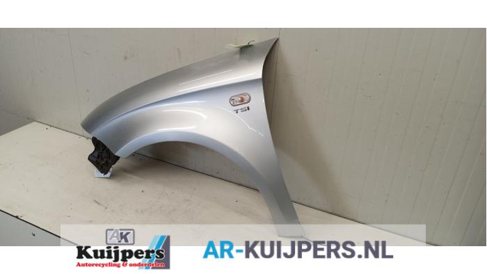 Scherm links-voor - Seat Altea