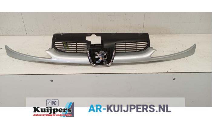 Grille - Peugeot 206