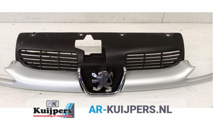 Grille - Peugeot 206