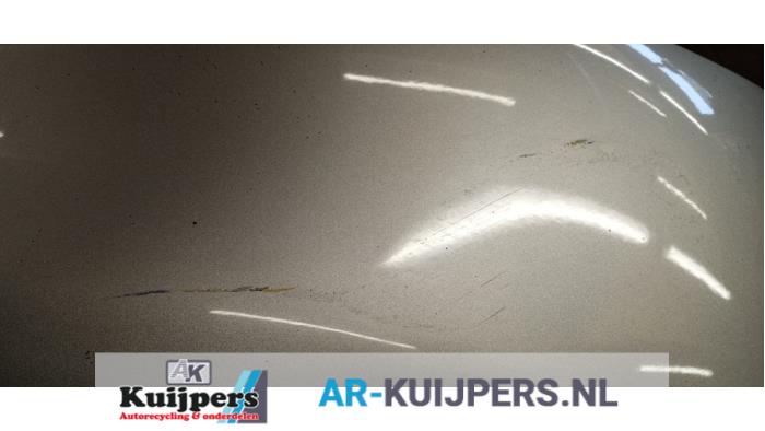 Scherm rechts-voor - Peugeot 206