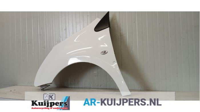 Scherm links-voor - Citroen Berlingo