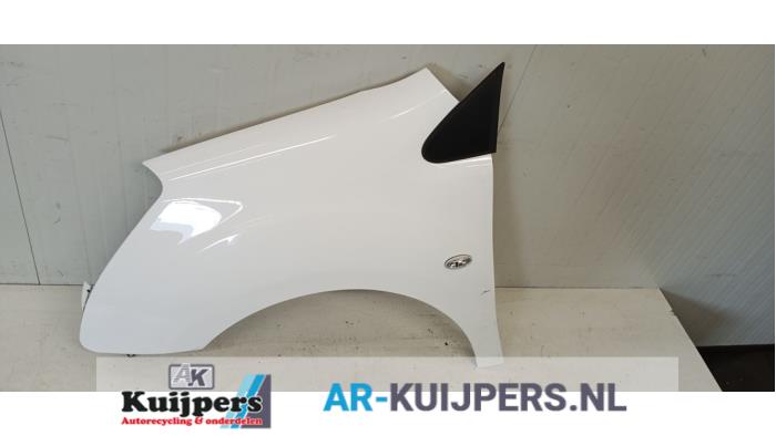 Scherm links-voor - Citroen Berlingo