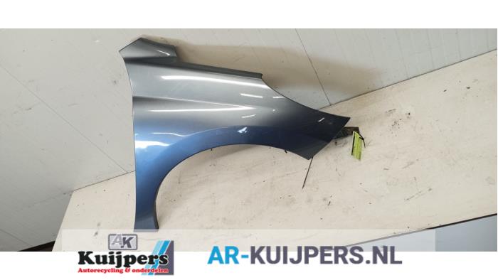 Scherm rechts-voor - Peugeot 207