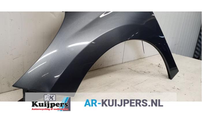 Scherm links-voor - Peugeot 207