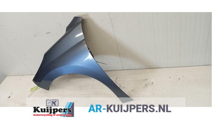 Scherm links-voor - Peugeot 207