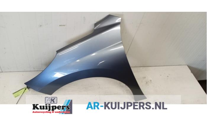 Scherm links-voor - Peugeot 207