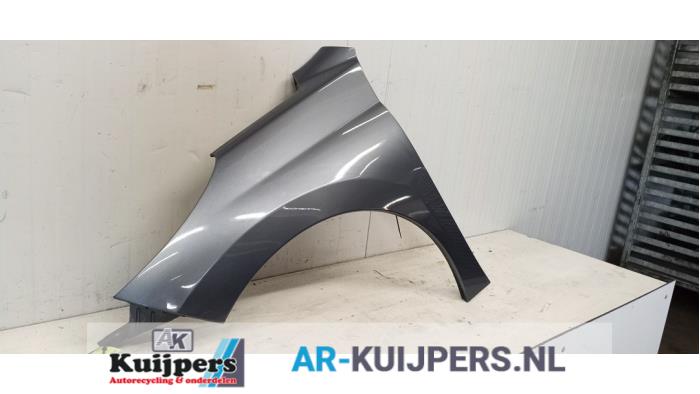 Scherm links-voor - Peugeot 207