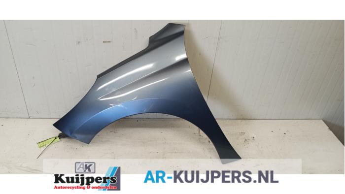 Scherm links-voor - Peugeot 207