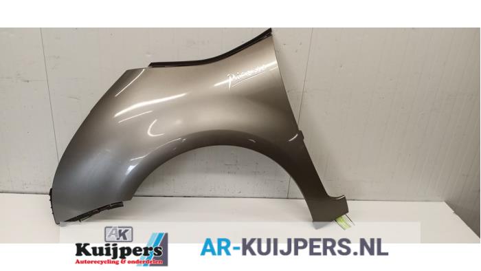 Scherm links-voor - Citroen C4 Grand Picasso