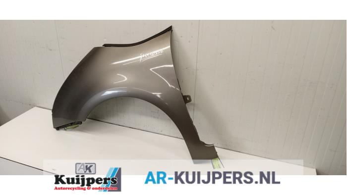 Scherm links-voor - Citroen C4 Grand Picasso