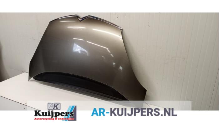 Motorkap - Citroen C4 Grand Picasso