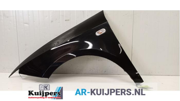 Scherm links-voor - Seat Ibiza