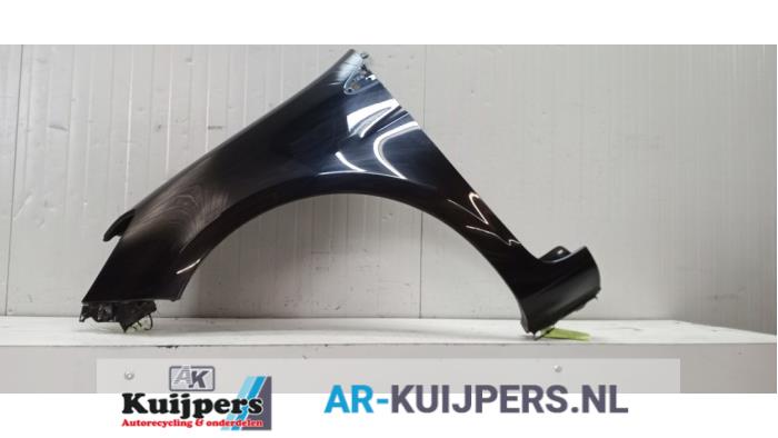 Scherm links-voor - Renault Clio