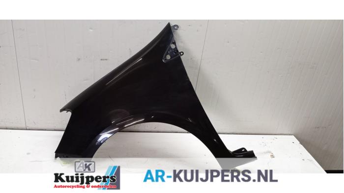 Scherm links-voor - Renault Clio