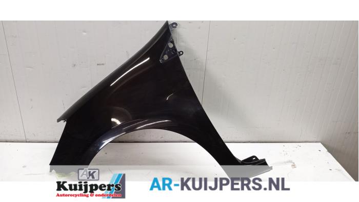 Scherm links-voor - Renault Clio
