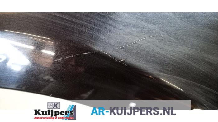 Scherm links-voor - Renault Clio