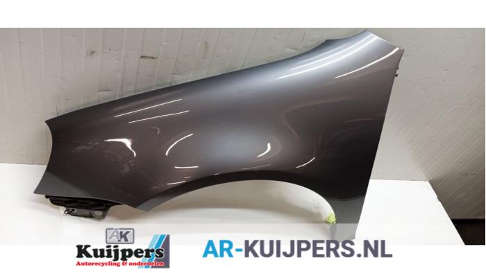 Scherm links-voor - Volkswagen Golf