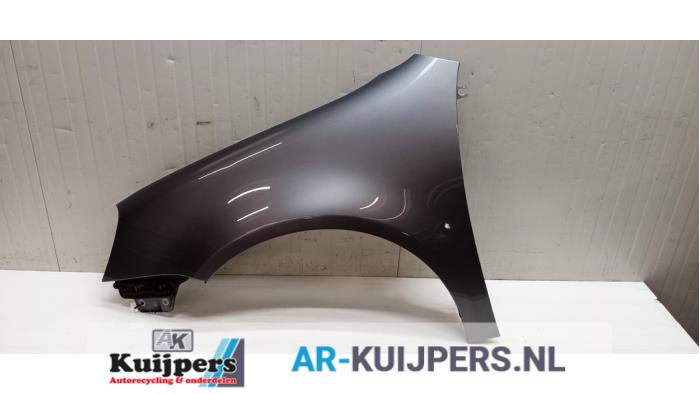 Scherm links-voor - Volkswagen Golf