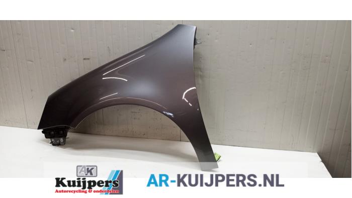 Scherm links-voor - Volkswagen Golf