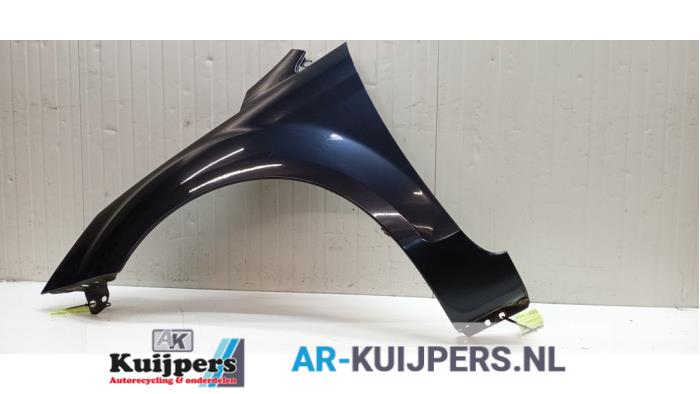 Scherm links-voor - Ford Focus