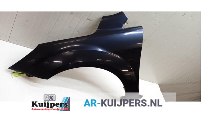 Scherm links-voor - Ford Focus