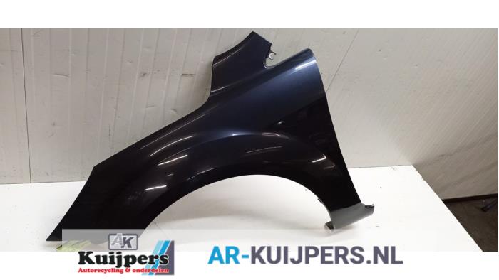 Scherm links-voor - Ford Focus