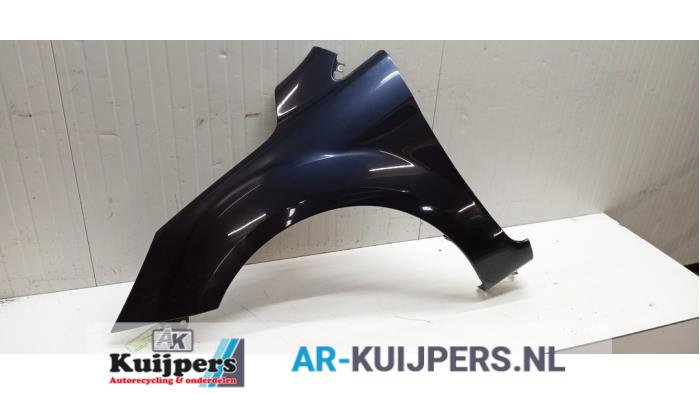 Scherm links-voor - Ford Focus