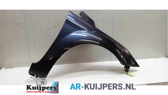 Scherm rechts-voor - Ford Focus
