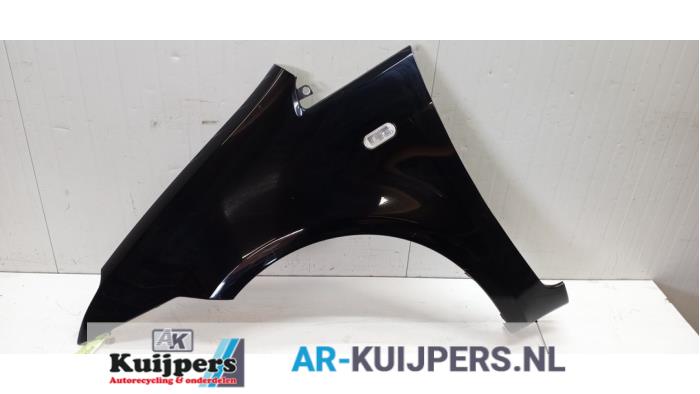 Scherm links-voor - Ford C-Max