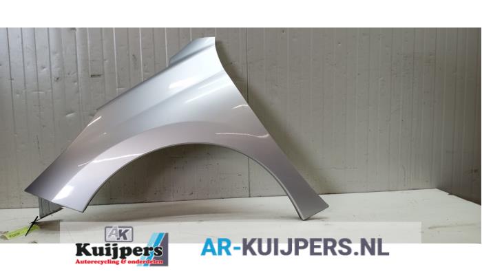 Scherm links-voor - Peugeot 207