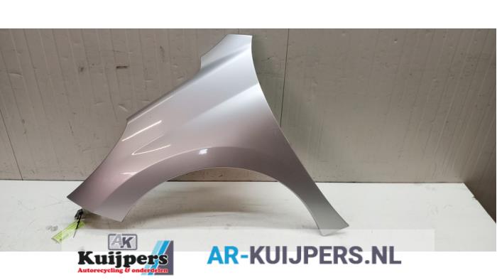Scherm links-voor - Peugeot 207