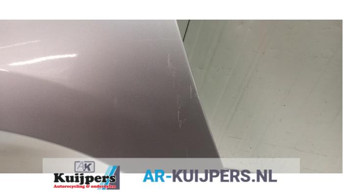 Scherm links-voor - Peugeot 207