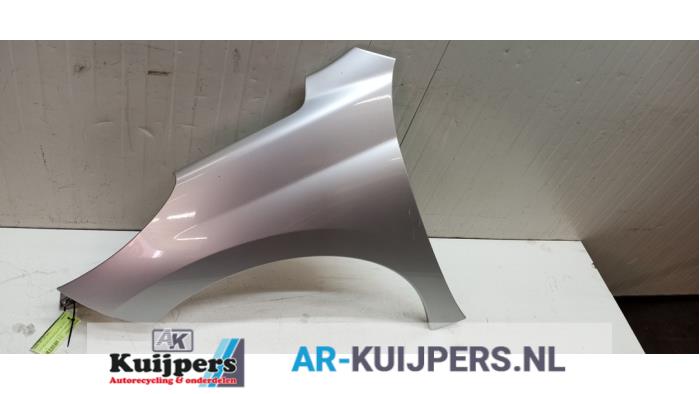 Scherm links-voor - Peugeot 207