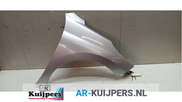 Scherm rechts-voor - Peugeot 207
