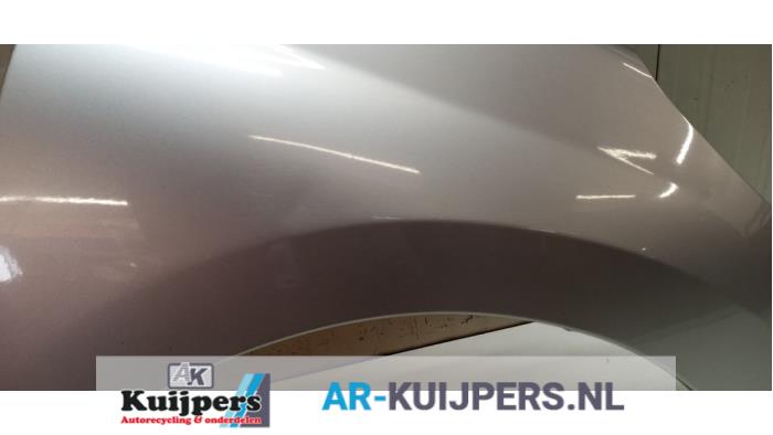 Scherm rechts-voor - Peugeot 207