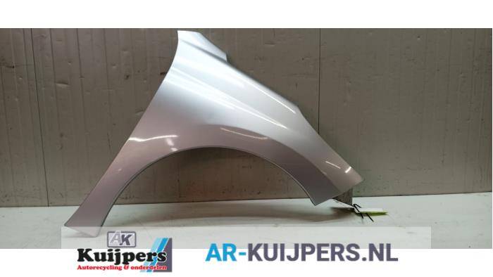 Scherm rechts-voor - Peugeot 207