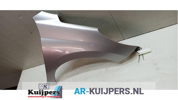 Scherm rechts-voor - Peugeot 207