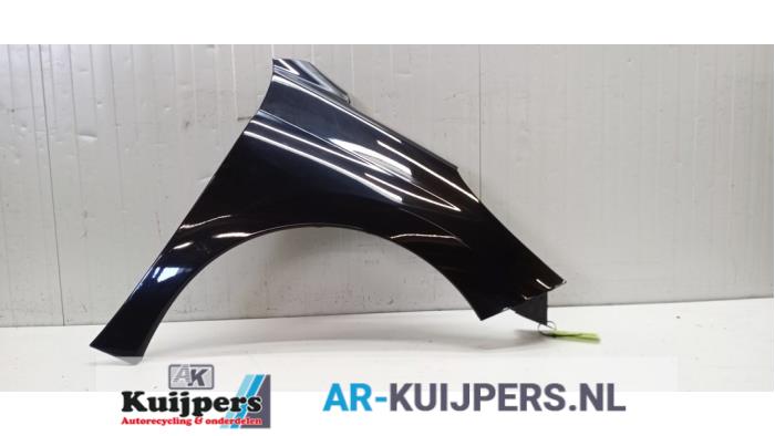 Scherm rechts-voor - Peugeot 207