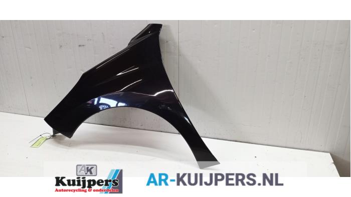Scherm links-voor - Peugeot 207