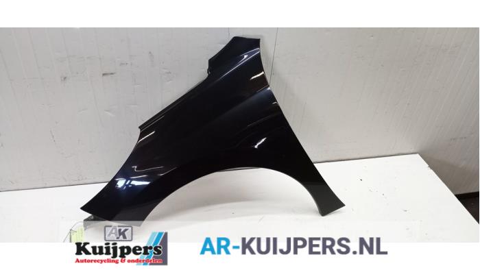 Scherm links-voor - Peugeot 207