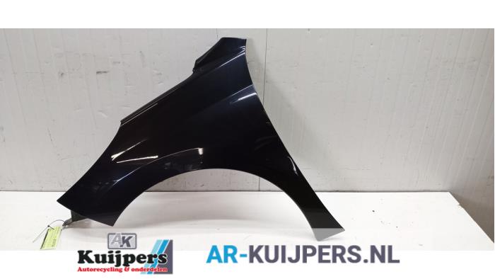 Scherm links-voor - Peugeot 207