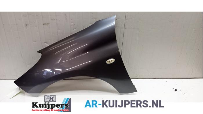 Scherm links-voor - Peugeot 206 PLUS