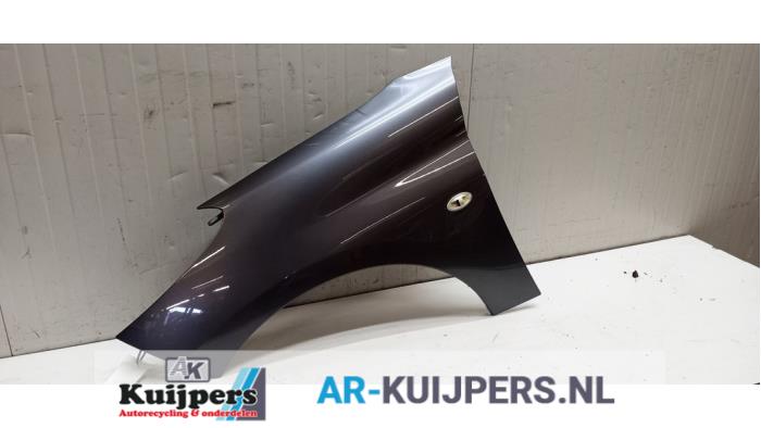 Scherm links-voor - Peugeot 206 PLUS