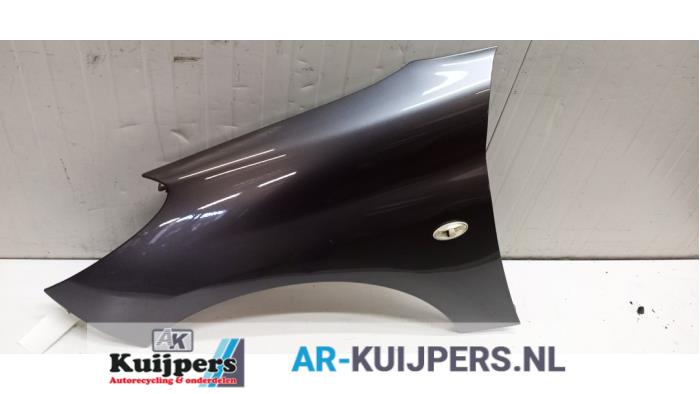 Scherm links-voor - Peugeot 206 PLUS