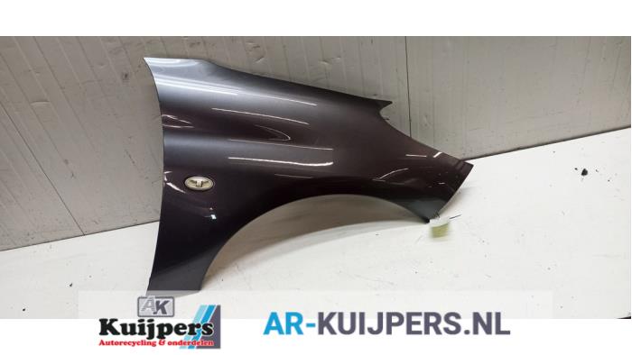 Scherm rechts-voor - Peugeot 206 PLUS