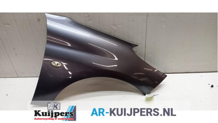 Scherm rechts-voor - Peugeot 206 PLUS