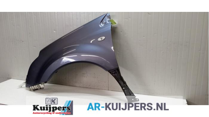 Scherm links-voor - Renault Koleos