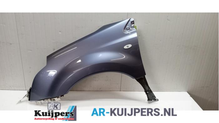 Scherm links-voor - Renault Koleos